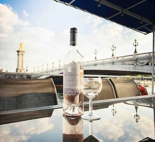 Botel Peniche De Charme Au Pont Alexandre Iii *
